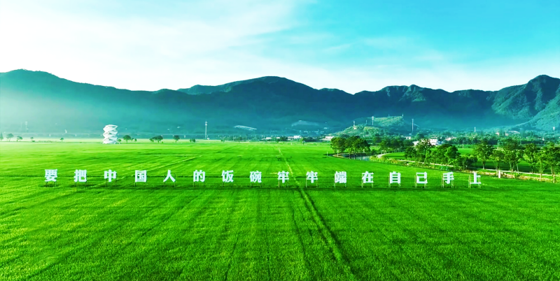 5_副本.png